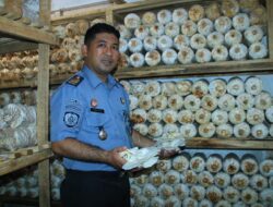 Lapas Banyuwangi Kembangkan Pembinaan Budidaya Jamur Tiram