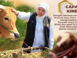 Dengan vaksinasi yang Masif, Provinsi Jatim berhasil mengendalikan wabah penyakit mulut dan kuku ( PMK )