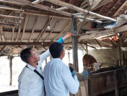 Bocah Laki-laki Berusia 11 Tahun Nekat Gantung Diri di Kandang Sapi Milik Orang Tua Angkatnya di Banyuwangi
