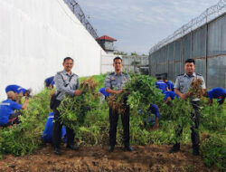 Program Pembinaan Berhasil, Warga Binaan Lapas Banjarbaru Panen 100 Kg Kacang Tanah