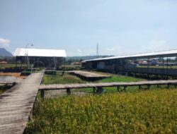 Nilainya Sungguh Fantastis!! Dugaan Adanya Mark Up di Pembangunan Wisata Cafe Sawah dan Pembagunan Jalan Rabat Beton Desa Keboireng