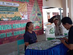 Desa Ringinpitu Melaksanakan Pembagian Bantuan Beras untuk 501 Penerima