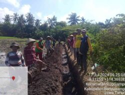 Bakal Calon Wakil Bupati Banyuwangi “Guntur Priambodo,” Gerak Cepat 1x 24 Jam Tuntas