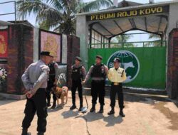 Sterilisasi dan Pengamanan Ketat Kunjungan Menko Pangan di PT Bumi Rojo Joyo, Banyuwangi