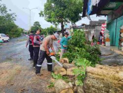 Gerak Cepat Polresta Banyuwangi bersama Instansi Lainnya Atasi Pohon Tumbang Dampak Bencana Angin