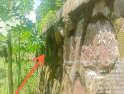 Bahu Jalan Proyek Terminal Wiroguno – Pertigaan Dasri Terancam Jebol, Indikasi Pelanggaran Hukum Menguat