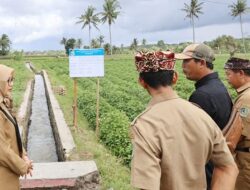 Di Tengah Efisiensi Anggaran, Infrastruktur Tetap Jadi Program Prioritas Bupati Banyuwangi