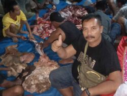 Sosok Prajurit Marinir Potong 2 Sapi Berukuran Besar Untuk Dibagikan Ke Tetangga