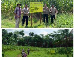 Implementasi Asta Cita Presiden; Polresta Banyuwangi Dukung Ketahanan Pangan Dengan Monitoring Perkembangan tanaman Jagung