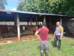 Bhabinkamtibmas Desa Setail Ajak Warga Manfaatkan Pekarangan untuk Ketahanan Pangan dan Peningkatan Gizi