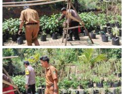 Polisi dan Kelompok Tani di Banyuwangi Aktif Berdayakan Pekarangan Pangan Lestari Dukung Ketahanan Pangan Nasional