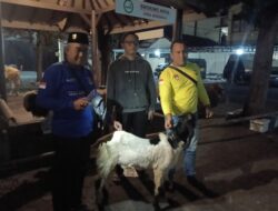 Pererat Sinergi Polri dan Insan Pers, Kapolresta Banyuwangi Serahkan Hewan Kurban ke PW FRN
