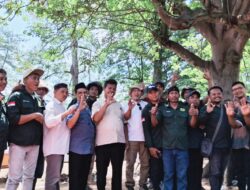 Madu Banyuwangi Menyengat Pasar Nasional, Tapi Tak Tersentuh Pemkab