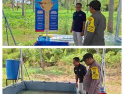 Sukseskan Program Ketahanan Pangan Presiden Prabowo Subianto, Polresta Banyuwangi Galakkan Program Pekarangan Bergizi Budidaya Udang Air Tawar