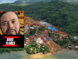 Tambang Ilegal Mengakar, Agus Flores Minta Presiden Prabowo Turun Tangan